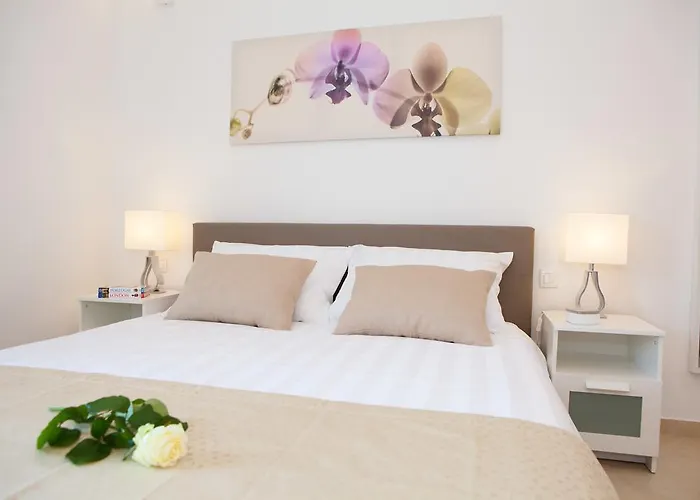 Summer Lounge Apartments